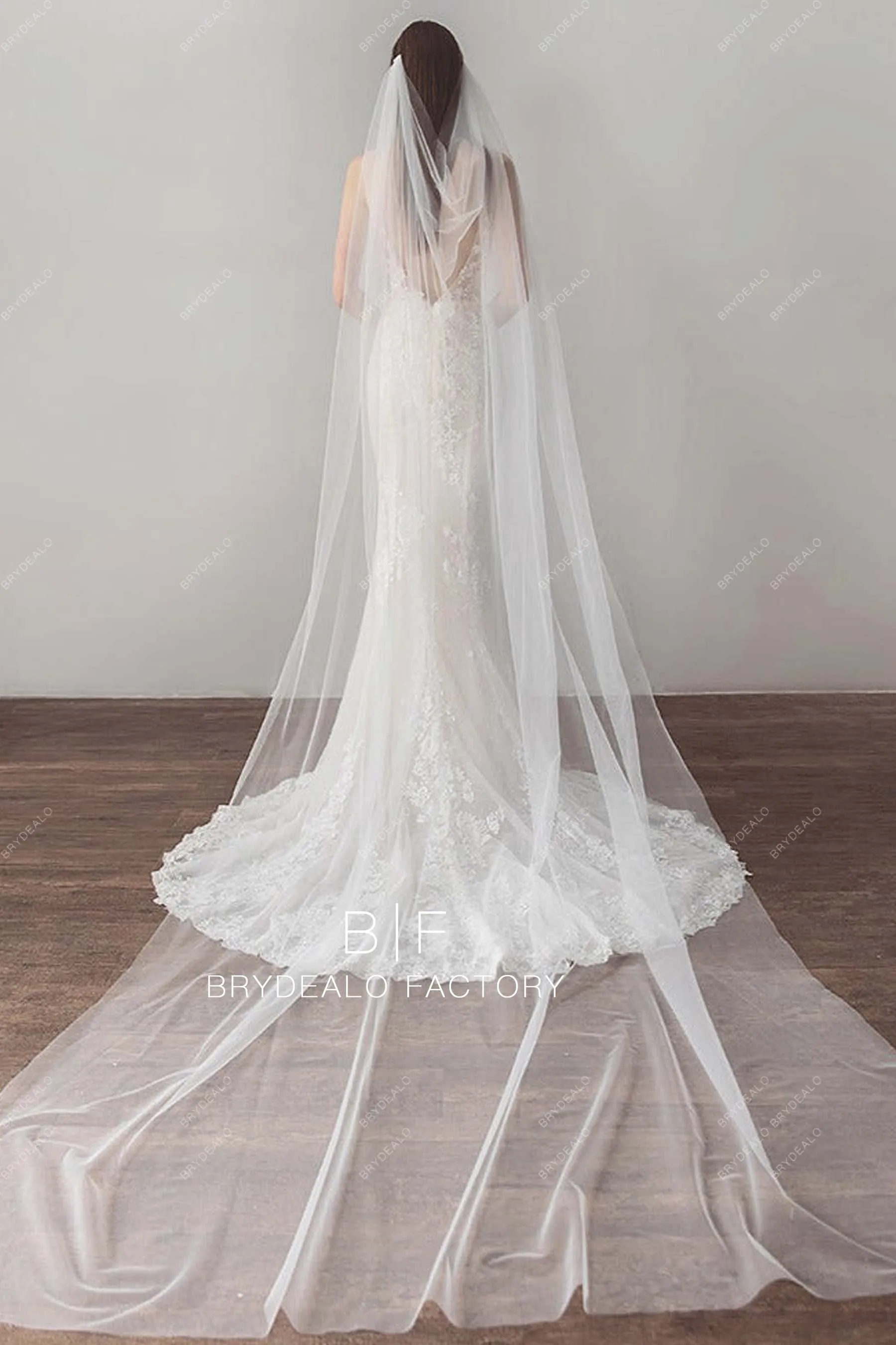 Cathedral Length Wedding Veil Plain Tulle Veil