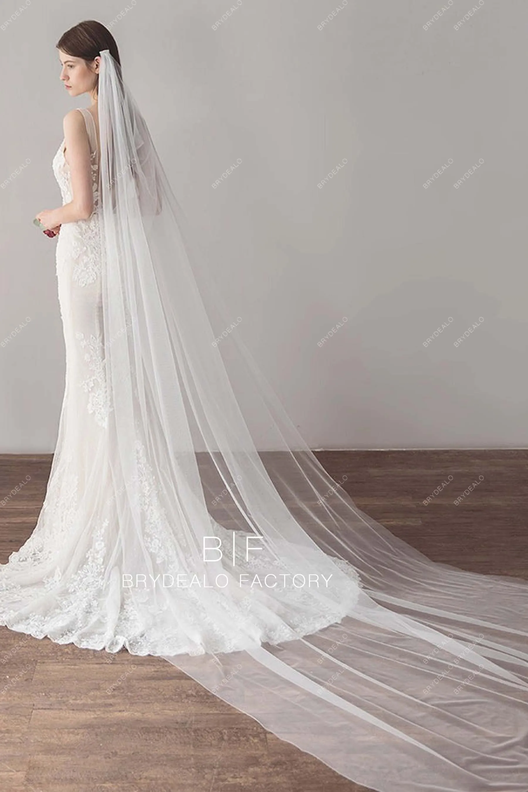 Cathedral Length Wedding Veil Plain Tulle Veil